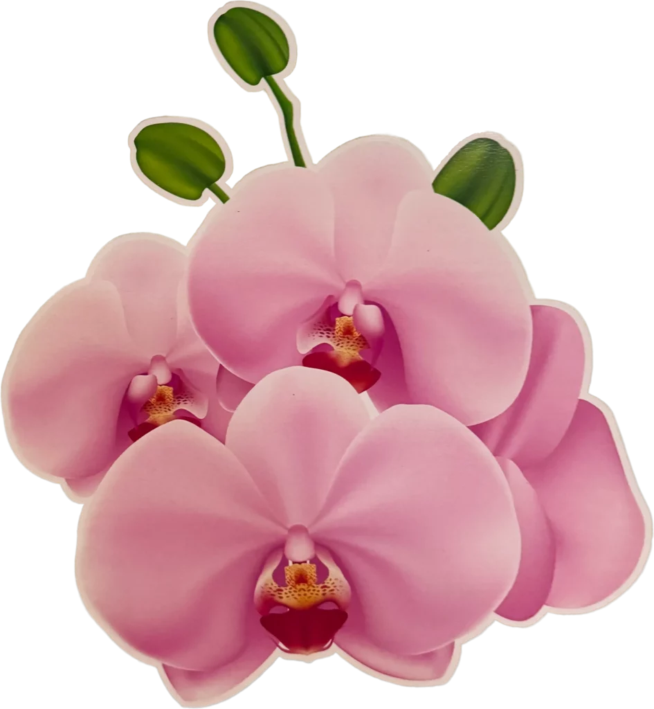 Logo Orchidee Nuek Thai Massage